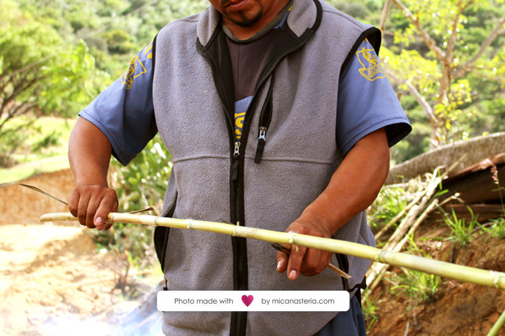 Artesano seleccionando las varas de carrizo adecuadas para la 
								artesanía que realizará.